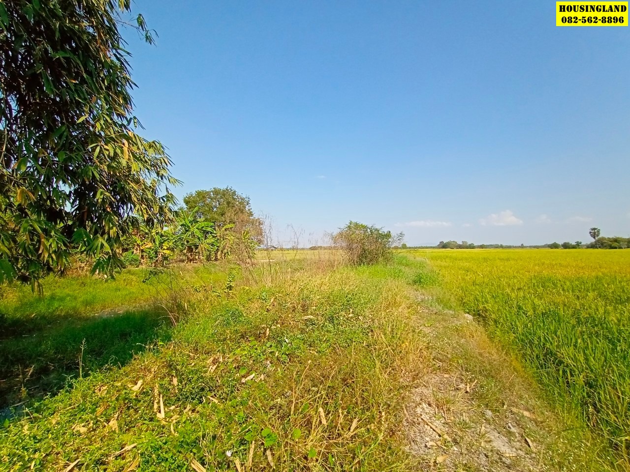 ขายที่ดินใกล้วัดวังบัว  ตำบลพิกุลออก  อำเภอบ้านนา จังหวัดนครนายก